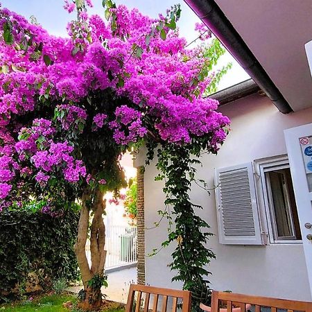 Holiday Home Zora - Family Vacation House Near Protected Area Of The Nature Park Kamenjak, With Green Yard, Wifi, Air-Con Premantura Zewnętrze zdjęcie