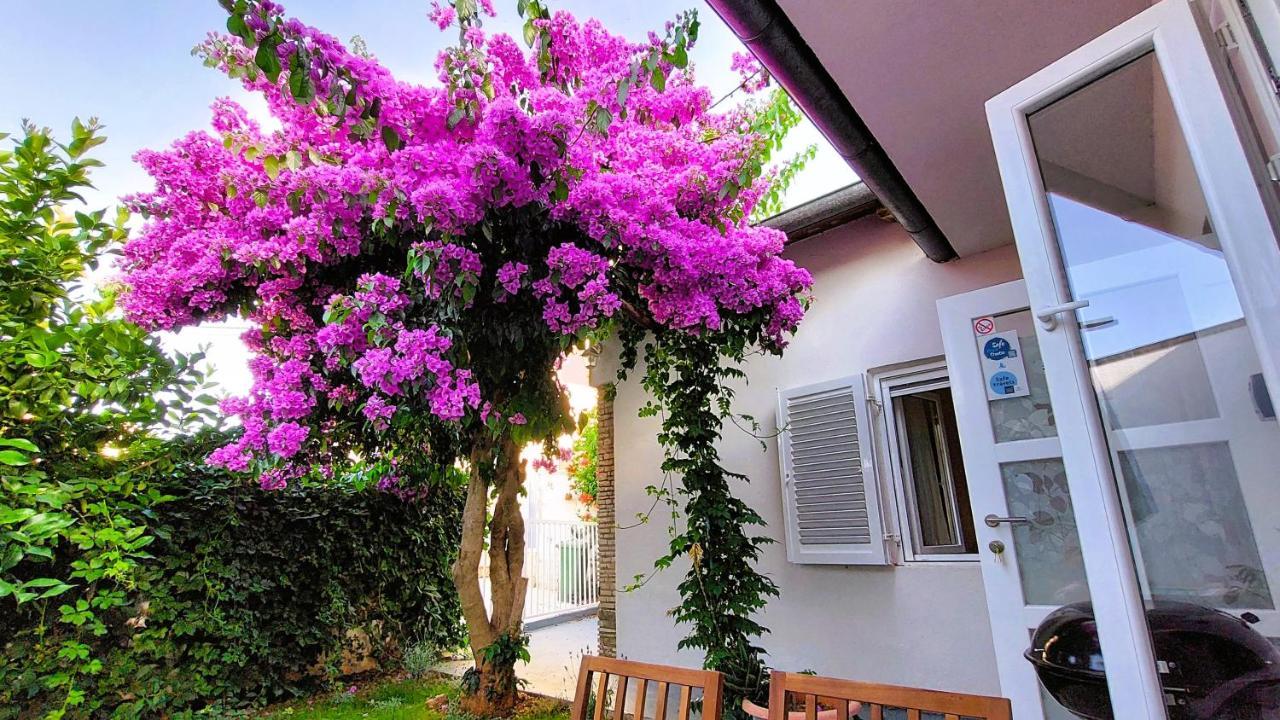 Holiday Home Zora - Family Vacation House Near Protected Area Of The Nature Park Kamenjak, With Green Yard, Wifi, Air-Con Premantura Zewnętrze zdjęcie