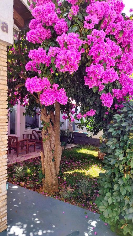 Holiday Home Zora - Family Vacation House Near Protected Area Of The Nature Park Kamenjak, With Green Yard, Wifi, Air-Con Premantura Zewnętrze zdjęcie